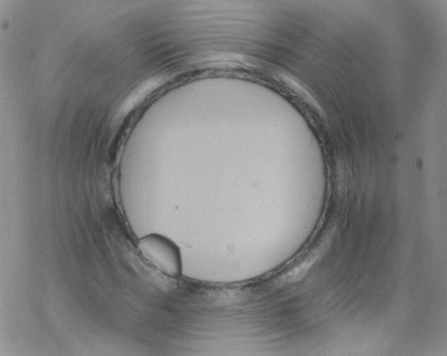 X0000076350970200610272116