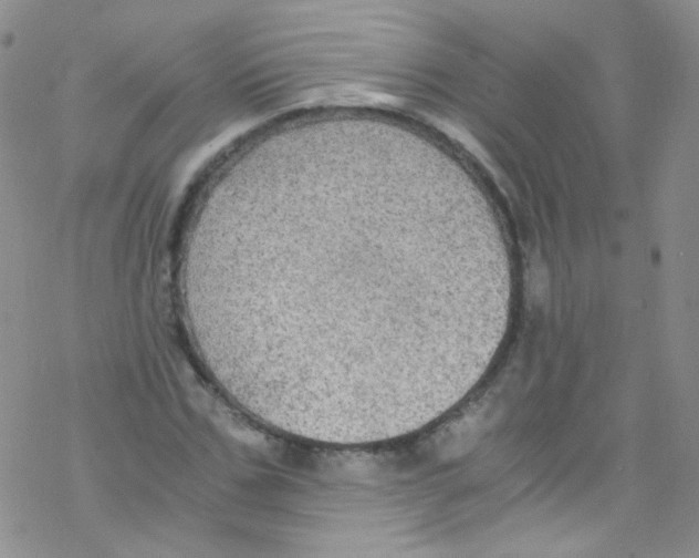 X0000076350971200610272116