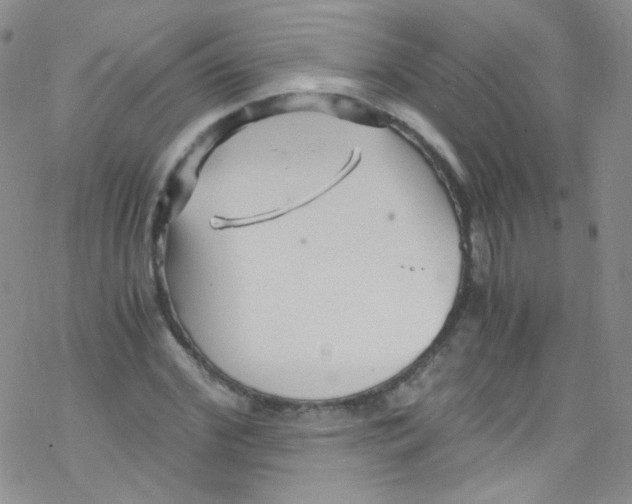 X0000076350972200610272116