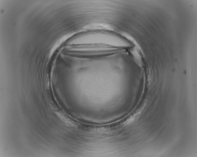 X0000076350973200610272116