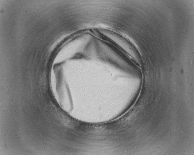 X0000076350975200610272116