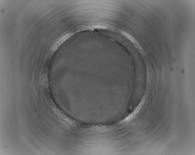 X0000076350977200610272116