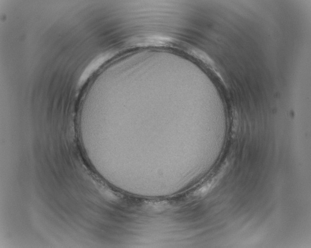 X0000076350978200610272116