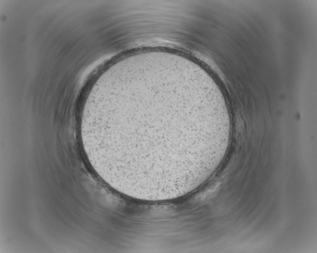 X0000076350979200610272116