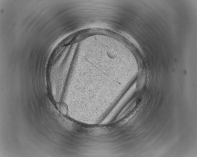 X0000076350980200610272116