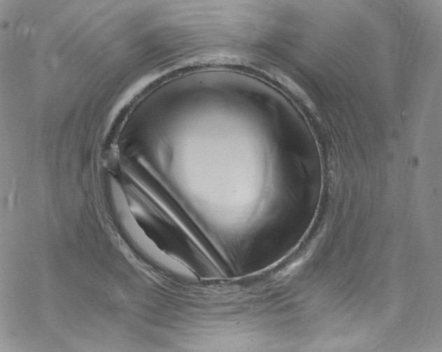 X0000076350981200610272116