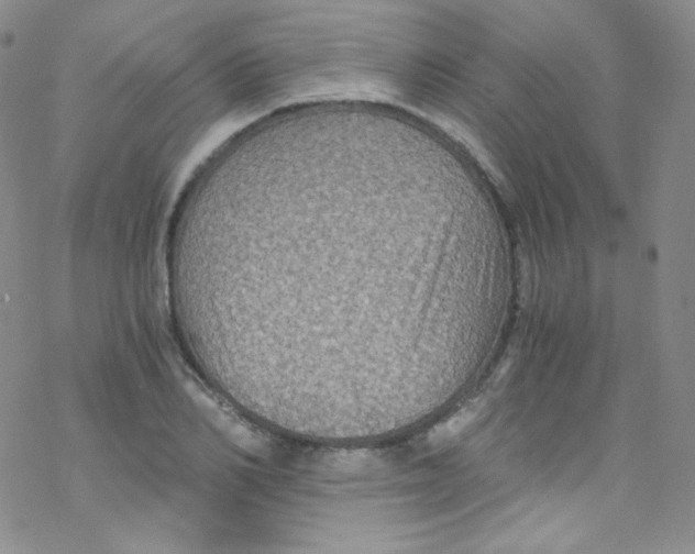 X0000076350982200610272115