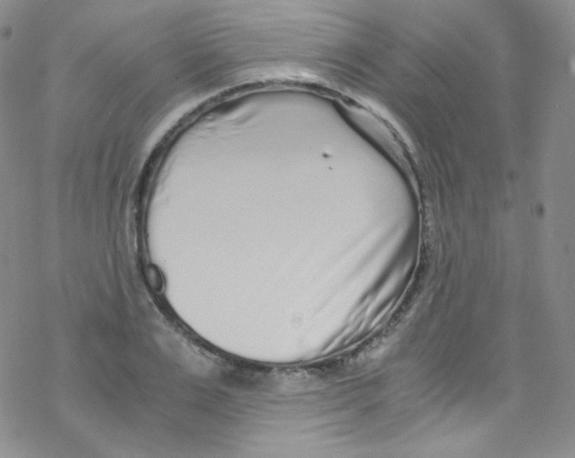 X0000076350983200610272115