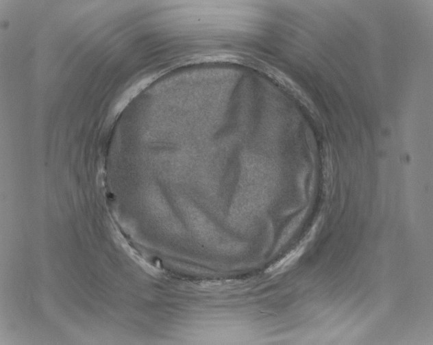 X0000076350985200610272115