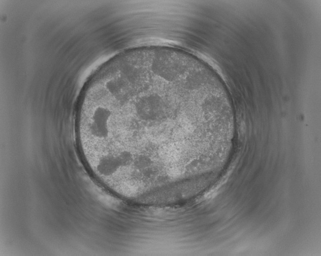 X0000076350987200610272115