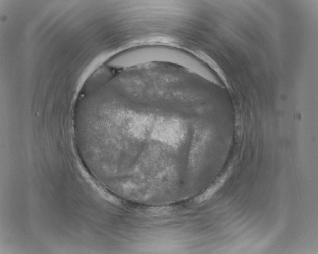 X0000076350989200610272115