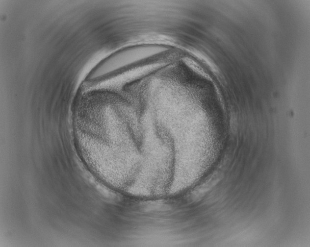 X0000076350990200610272115