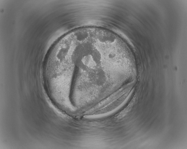 X0000076350991200610272115