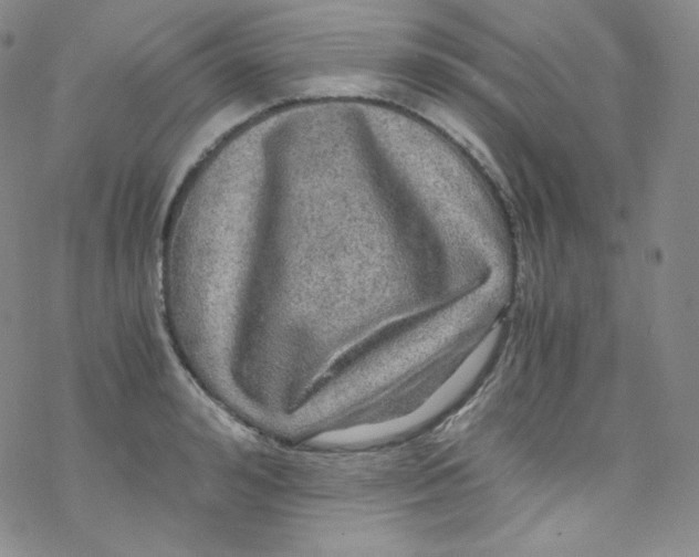 X0000076350992200610272115