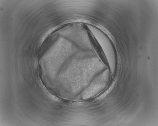 X0000076350993200610272115