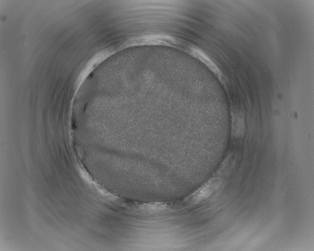 X0000076350994200610272115