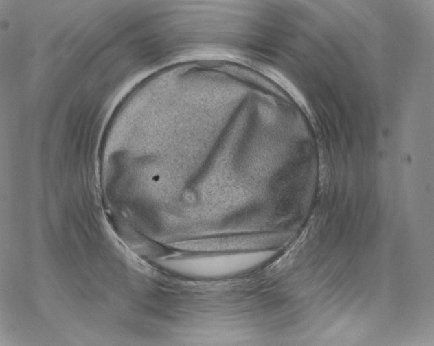 X0000076350996200610272115