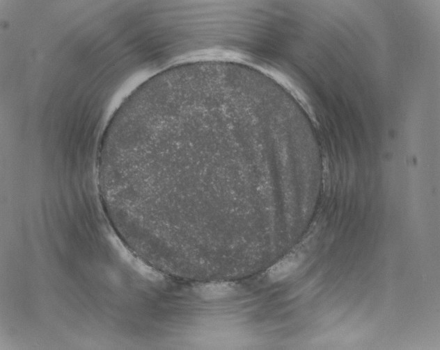 X0000076350998200610272115