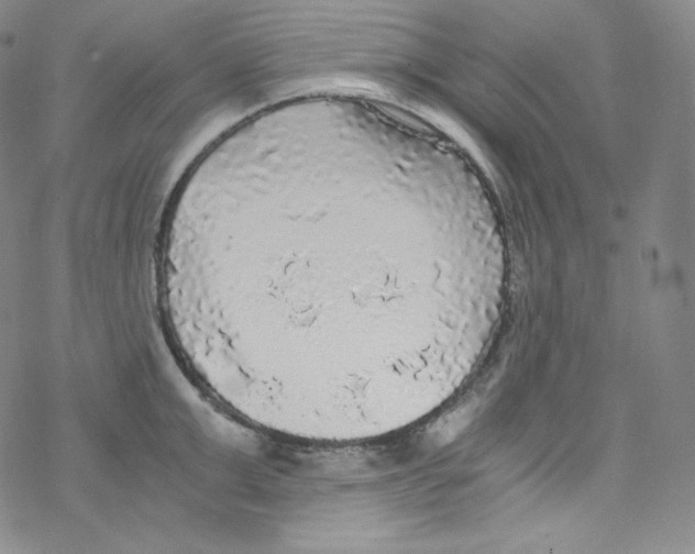 X0000076350999200610272115