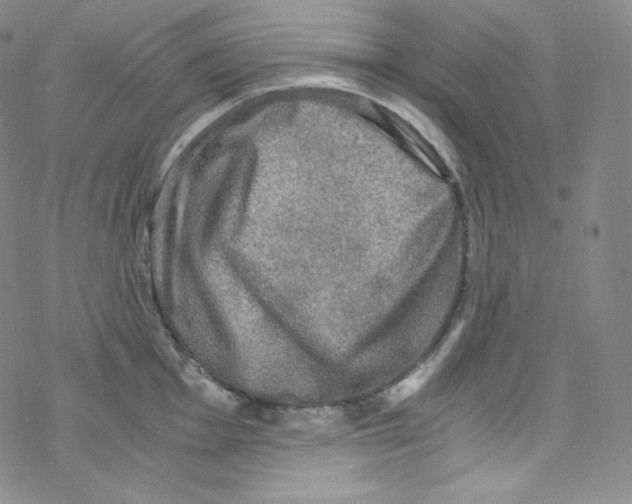 X0000076351001200610272115