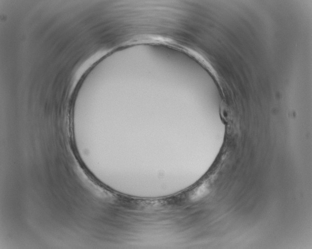 X0000076351003200610272115