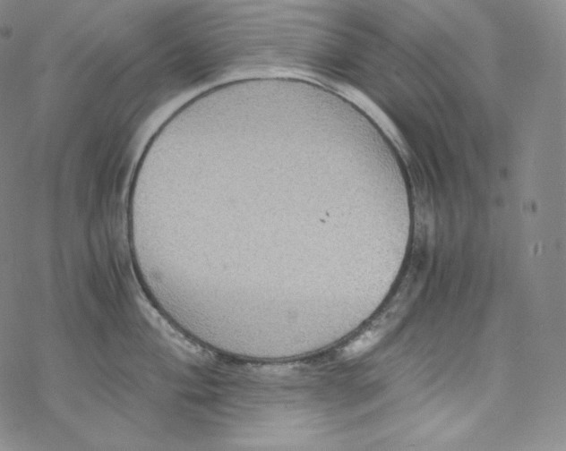 X0000076351004200610272115