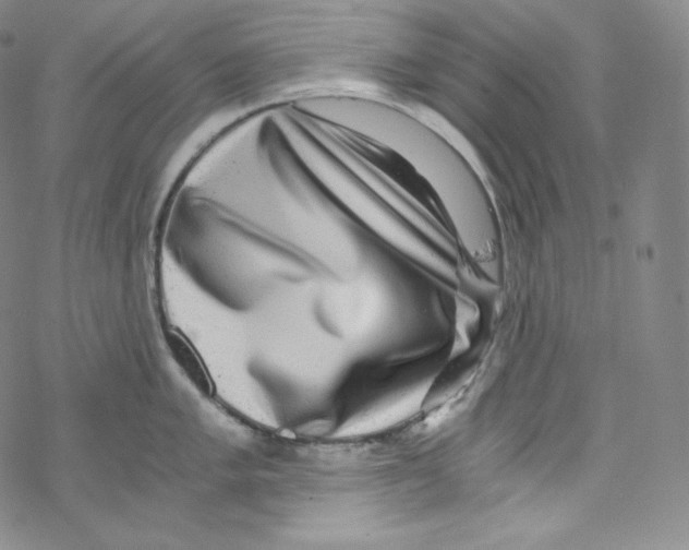 X0000076351005200610272115