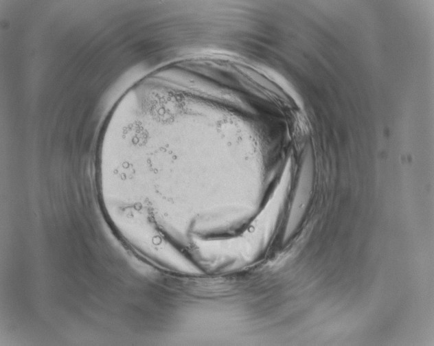 X0000076351007200610272115