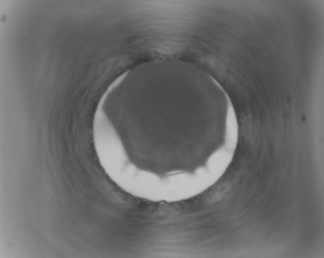 X0000076351009200610272114