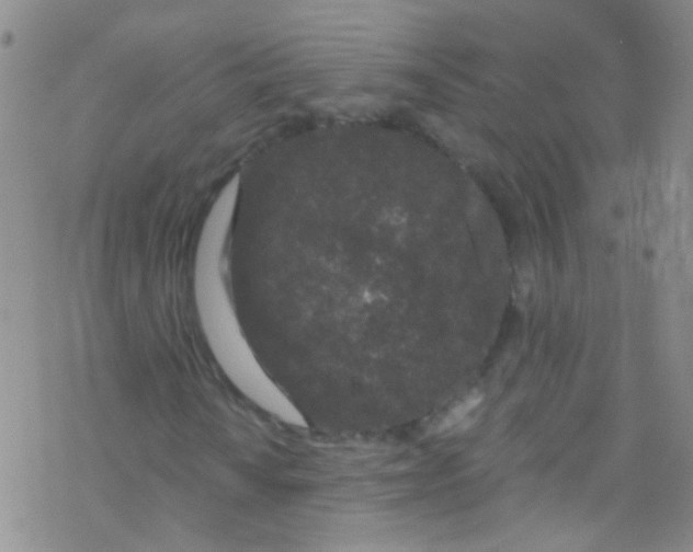 X0000076351010200610272114