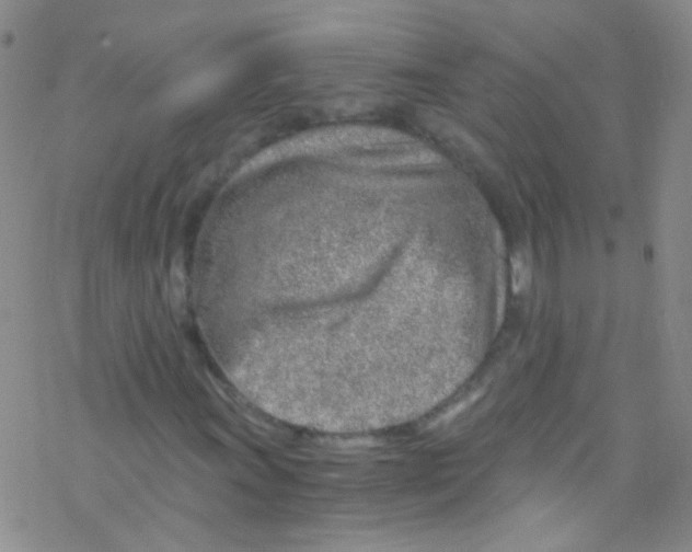 X0000076351011200610272114