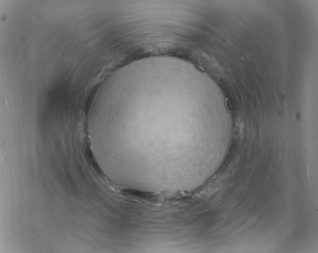 X0000076351012200610272114