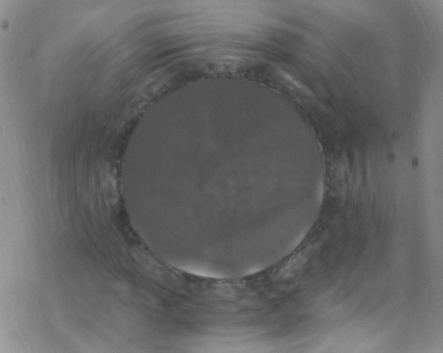 X0000076351013200610272114