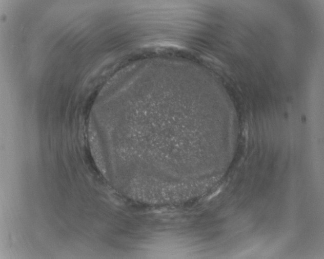 X0000076351014200610272114