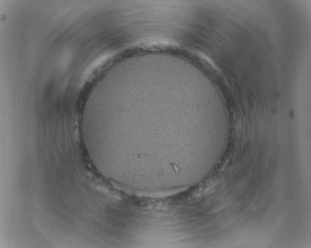 X0000076351016200610272114