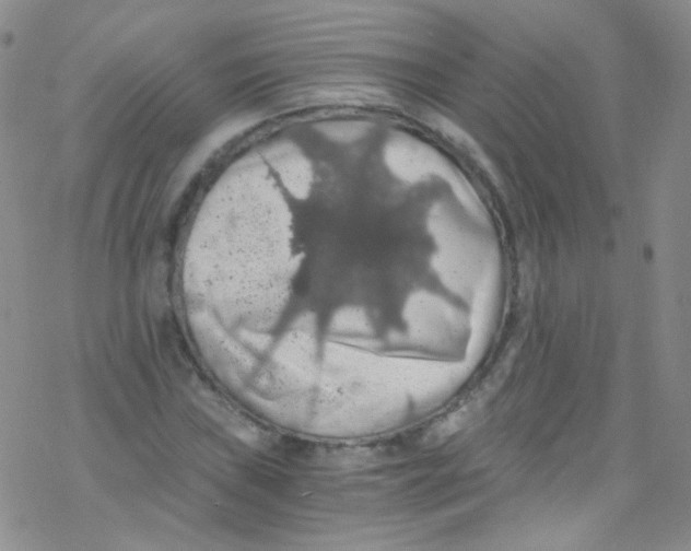 X0000076351019200610272114