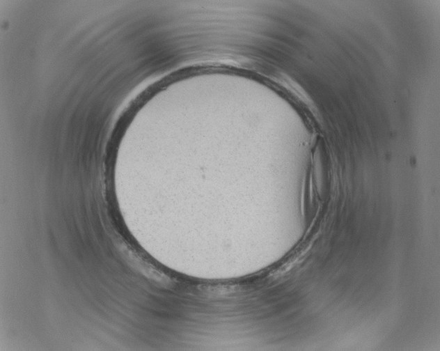 X0000076351020200610272114