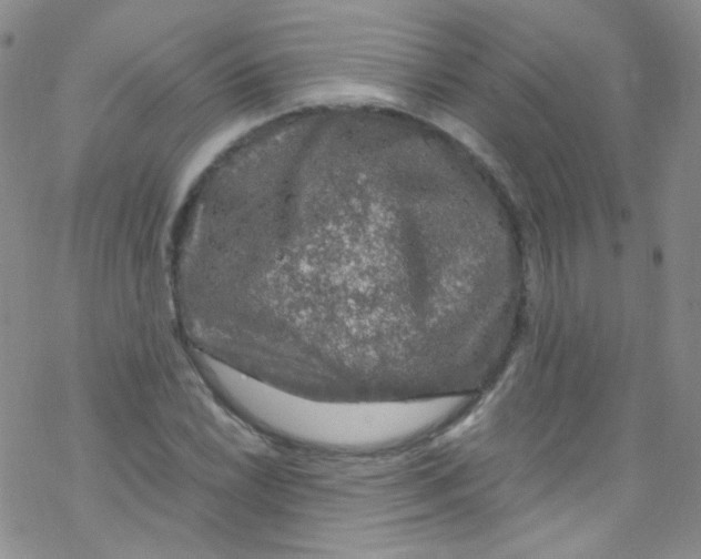 X0000076351022200610272114