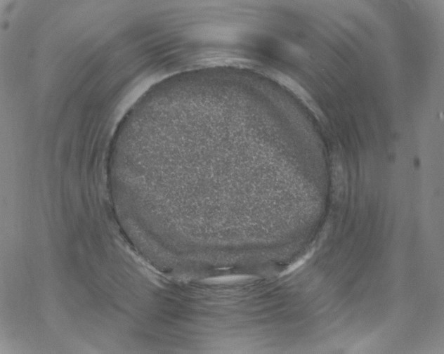 X0000076351023200610272115