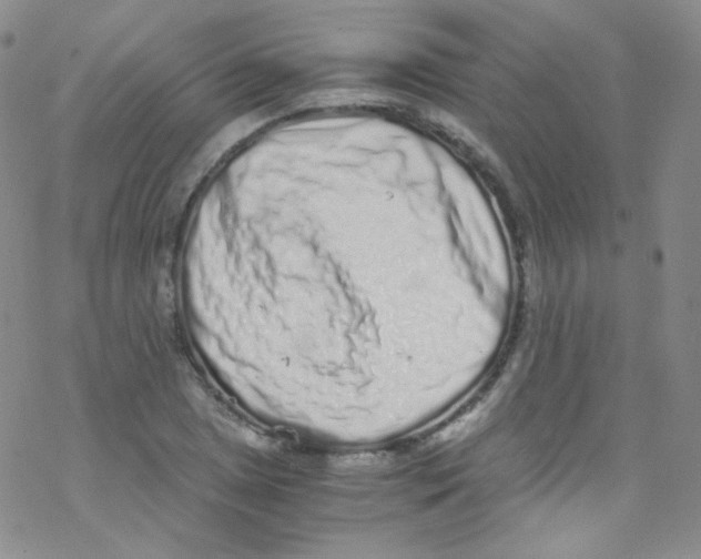 X0000076351025200610272115