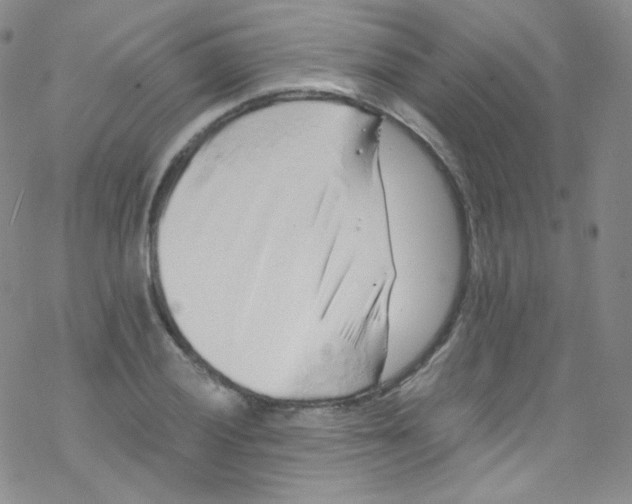 X0000076351028200610272115