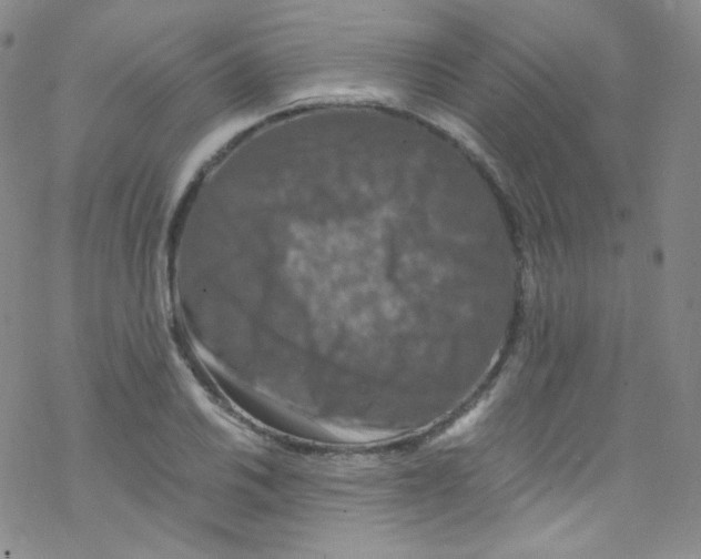 X0000076351030200610272115