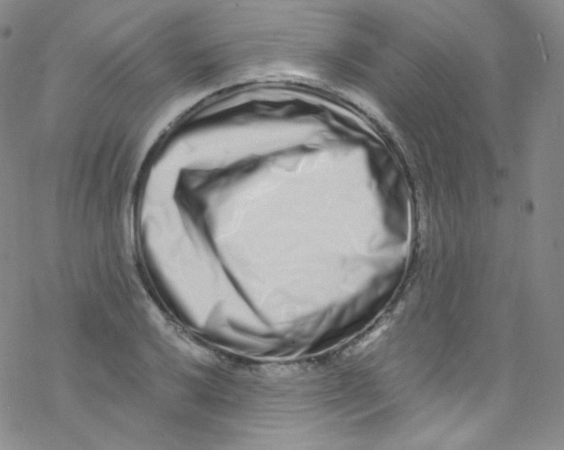 X0000076351032200610272115