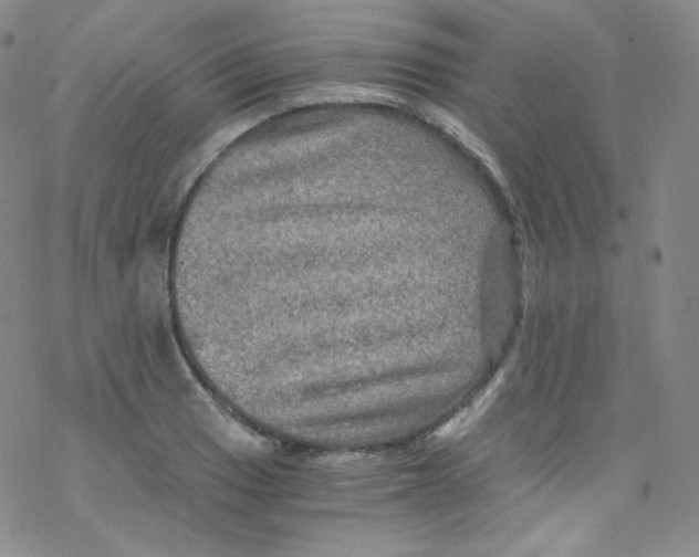 X0000076351033200610272115