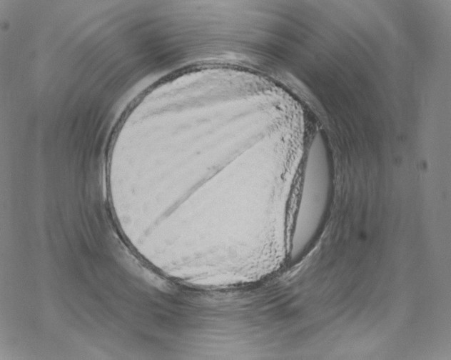 X0000076351036200610272115