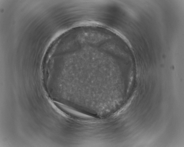 X0000076351037200610272115