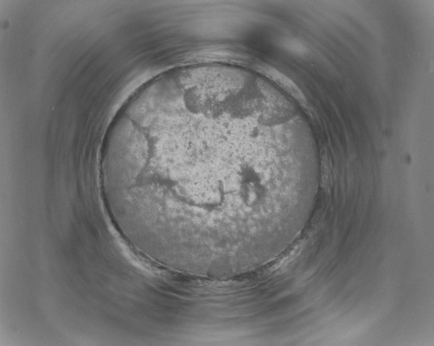 X0000076351039200610272115