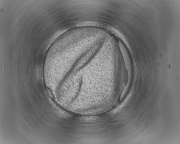 X0000076351041200610272115