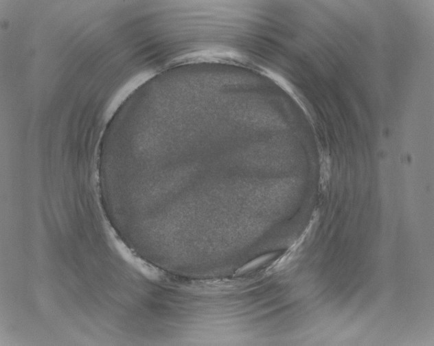 X0000076351042200610272115