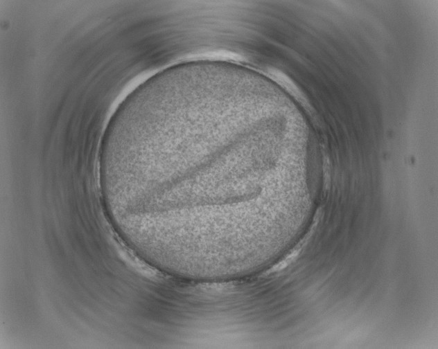 X0000076351044200610272115